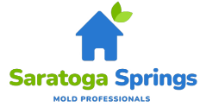 Mold Remediation Saratoga Springs Experts