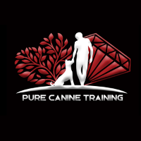 Brands,  Businesses, Places & Professionals Pure Canine Training in Langley BC