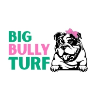 Brands,  Businesses, Places & Professionals Big Bully Turf in Henderson NV