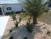 Ground Effects Landscaping