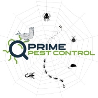 Brands,  Businesses, Places & Professionals Prime Pest Control in Las Vegas NV