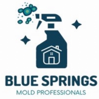 Brands,  Businesses, Places & Professionals Blue Springs Mold Remediation Solutions in Blue Springs, MO MO