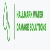 Brands,  Businesses, Places & Professionals HallMark Water Damage Solutions in Dallas TX