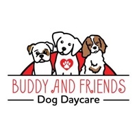 Buddy and Friend's Dog Daycare