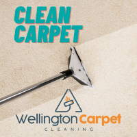 Brands,  Businesses, Places & Professionals Wellington Carpet Cleaning in Waikanae Wellington