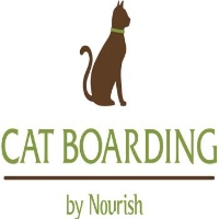 Cat Boarding by Nourish