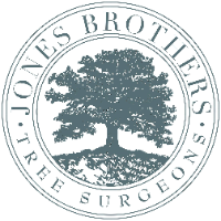 Brands,  Businesses, Places & Professionals Jones Brothers Tree Surgeons in Hilton Head Island, SC SC