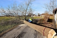 Brands,  Businesses, Places & Professionals Sonoma Tree Service Pro in 7 E Napa St, Sonoma, CA 95476 CA