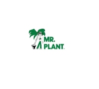 Mr. Plant