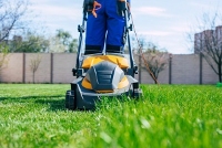 Brands,  Businesses, Places & Professionals Oasis Maricopa Landscapers in  AZ