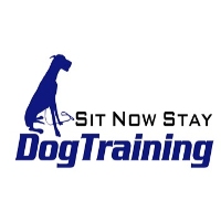 Sit Now Stay Dog Training