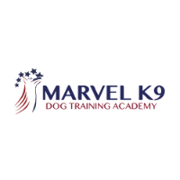 Brands,  Businesses, Places & Professionals Marvel K9 Dog Training Academy in Temecula, CA, USA CA