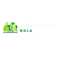 Tree Service NOLA