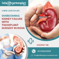 Cheapest kidney transplant in India