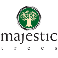 Majestic Trees