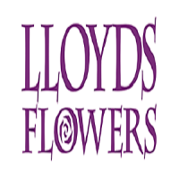 Brands,  Businesses, Places & Professionals Lloyds Flowers in Clifton, Bristol, Avon BS8 2NN England