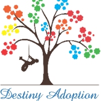 Brands,  Businesses, Places & Professionals Destiny Adoption & Consulting Services, Inc. in Knoxville TN