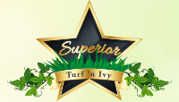 Superior Artificial Turf n Ivy