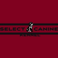 Brands,  Businesses, Places & Professionals Select Canine Kennel in Nappanee IN