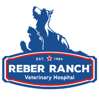 Reber Ranch Veterinary Hospital