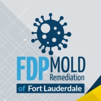 FDP Mold Remediation of Fort Lauderdale