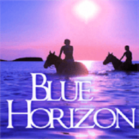 Blue Horizon Boutique Resort