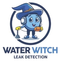 Brands,  Businesses, Places & Professionals Water Witch Leak Detection in Phoenix AZ