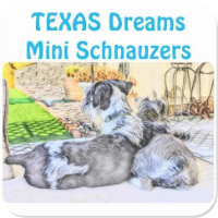 Circle R/ Texas Dreams