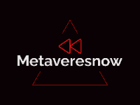 Brands,  Businesses, Places & Professionals https://metaveresnow.com in Hillside NJ