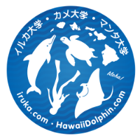 Iruka Hawaii Dolphin