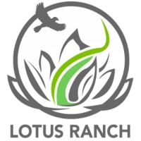 Brands,  Businesses, Places & Professionals Lotus Ranch in Wimberley TX