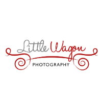 Brands,  Businesses, Places & Professionals Little Wagon Photography in Ottawa ON