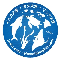 Iruka Hawaii Dolphin Snorkeling Tours