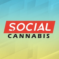 Brands,  Businesses, Places & Professionals Social Cannabis Chambers in Denver CO