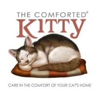 The Comforted Kitty