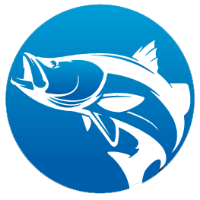 Brands,  Businesses, Places & Professionals Benchmark Seafood Pty Ltd in Pinelands NT