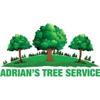 Brands,  Businesses, Places & Professionals Adrian's Tree Service in Walled Lake MI