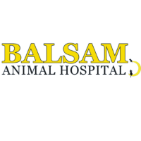 Brands,  Businesses, Places & Professionals Balsam Animal Hospital in Waynesville NC