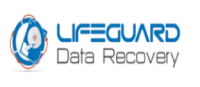 Brands,  Businesses, Places & Professionals LifeGuard Data Recovery in Bur Dubai – Dubai Dubai