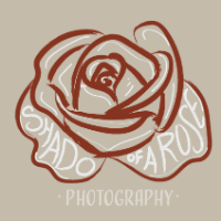 Shado Of A Rose Photography