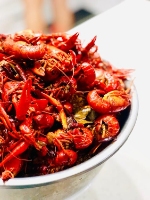 Brands,  Businesses, Places & Professionals Crawfish House & Grill, LLC in Opelousas LA