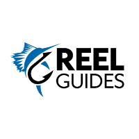 Reel Guides Fishing Charters