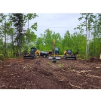 Brands,  Businesses, Places & Professionals F&P Forestry Services LLC in Wasilla 