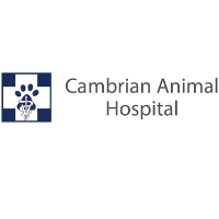 Brands,  Businesses, Places & Professionals Cambrian Animal Hospital in Calgary AB