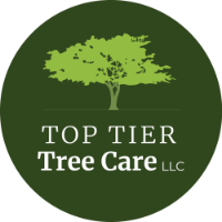 Top Tier Tree Care LLC