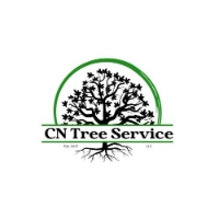 Brands,  Businesses, Places & Professionals CN Tree Service LLC in Daytona Beach FL