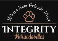 Integrity Bernedoodles