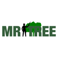 Mr. Tree