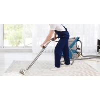 ROYAL CLEAN CARPET CLEANING ARLINGTON VA