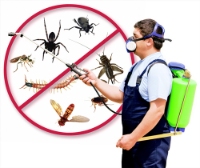 East York Pest Control